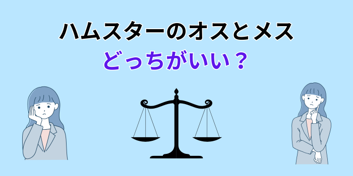 ハムスター オス メス どっちがいい