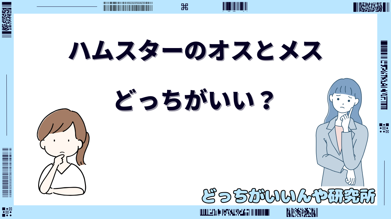 ハムスター オス メス どっちがいい